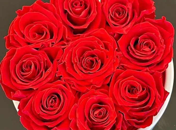 New Luxury & Free Parking *