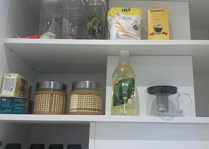 Apartman New Luxury & Free Parking Vilnius