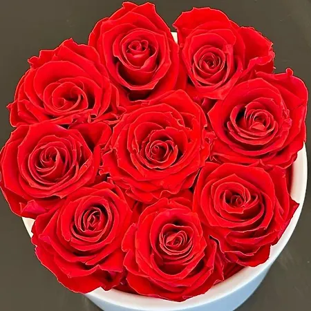 New Luxury & Free Parking *